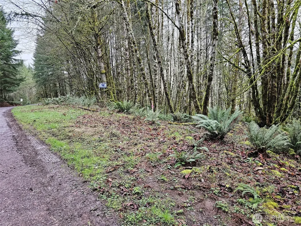 461 Clearwater Road Kelso WA 98626