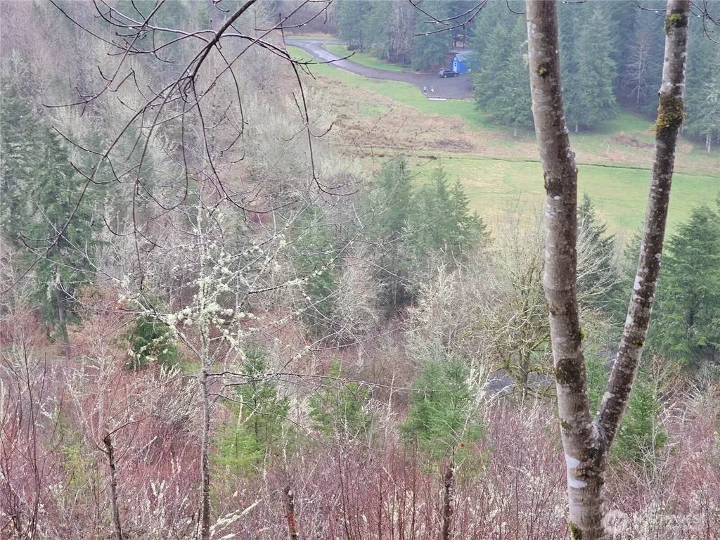 461 Clearwater Road Kelso WA 98626