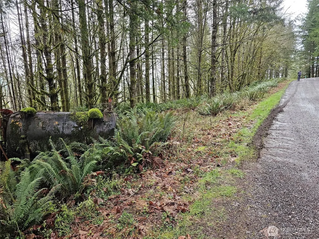461 Clearwater Road Kelso WA 98626