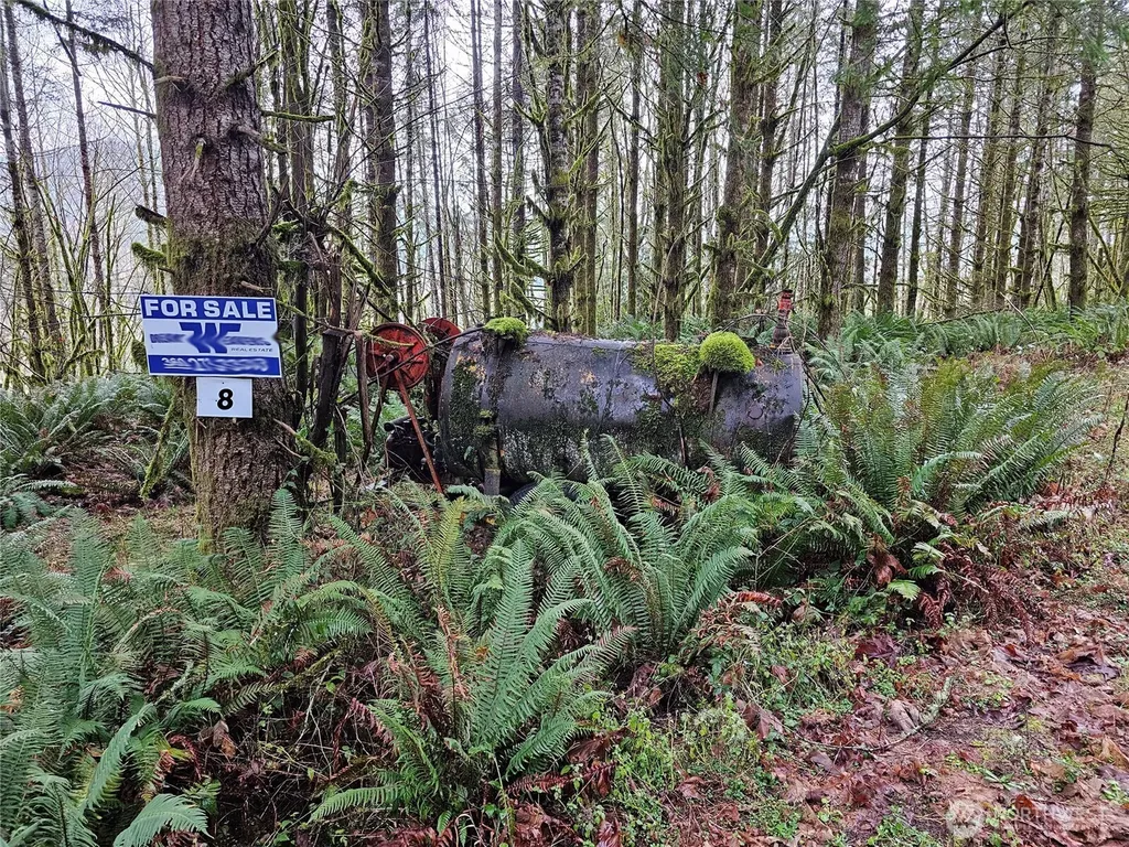 461 Clearwater Road Kelso WA 98626
