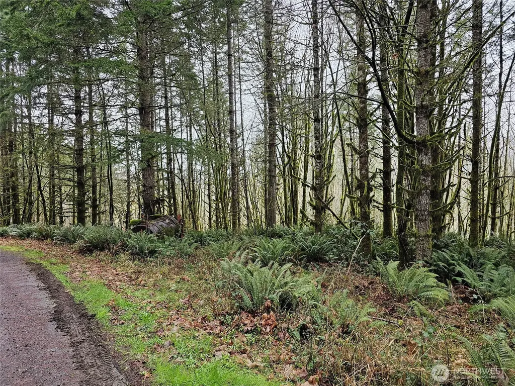 461 Clearwater Road Kelso WA 98626