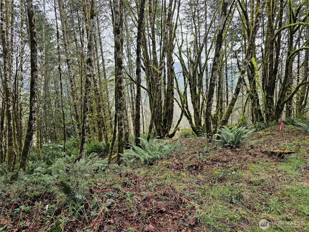 461 Clearwater Road Kelso WA 98626