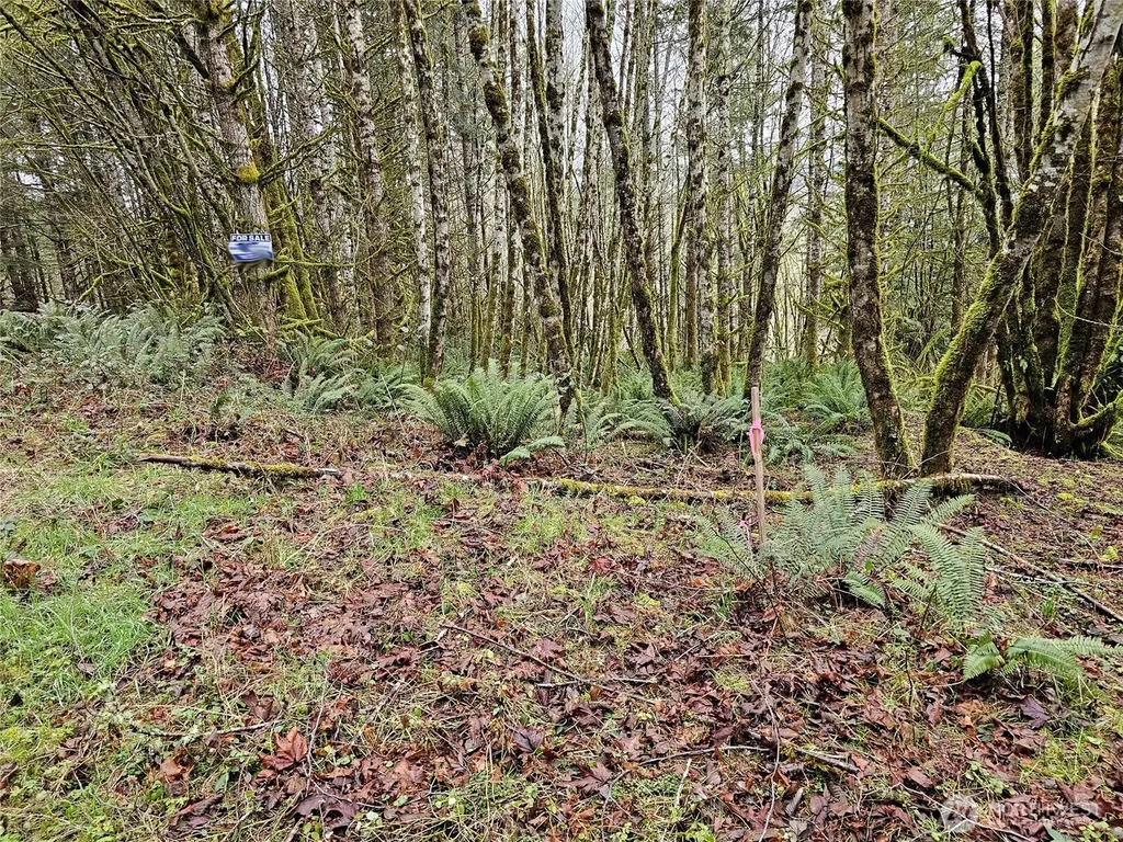 461 Clearwater Road Kelso WA 98626