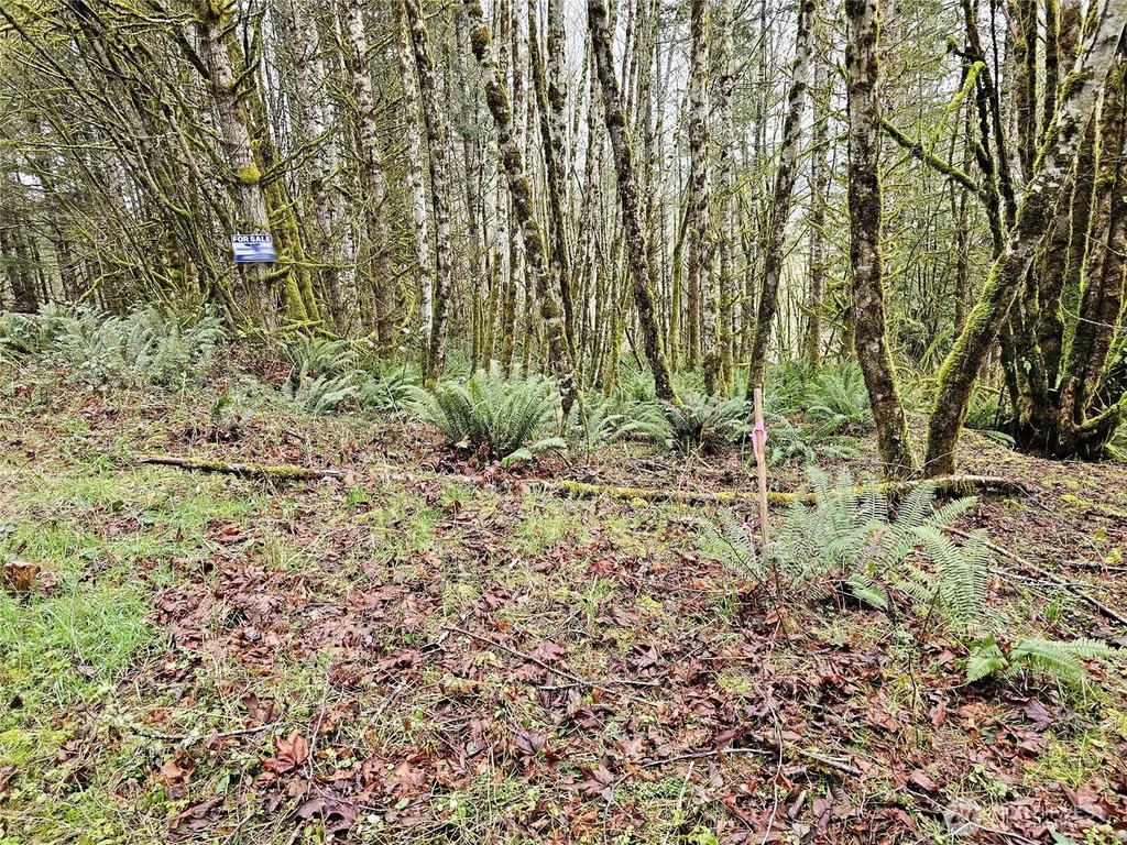 461 Clearwater Road Kelso WA 98626