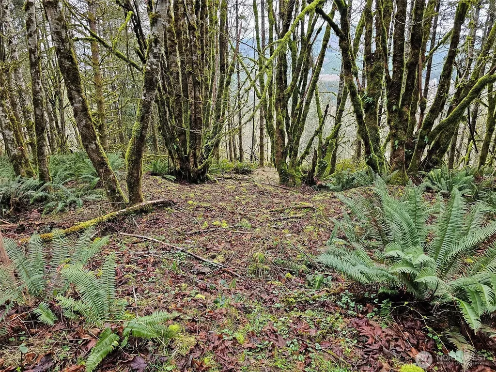 461 Clearwater Road Kelso WA 98626