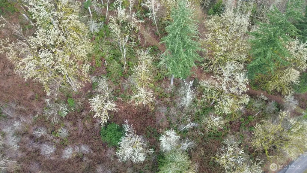 461 Clearwater Road Kelso WA 98626