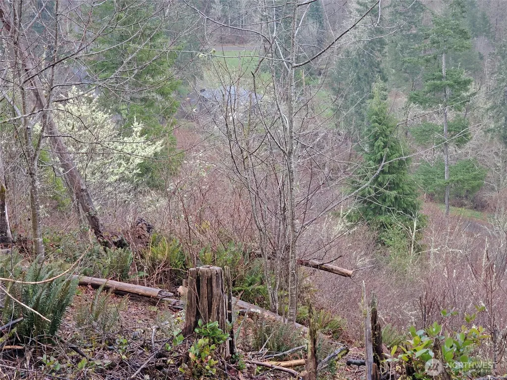 573 Clearwater Road Kelso WA 98626