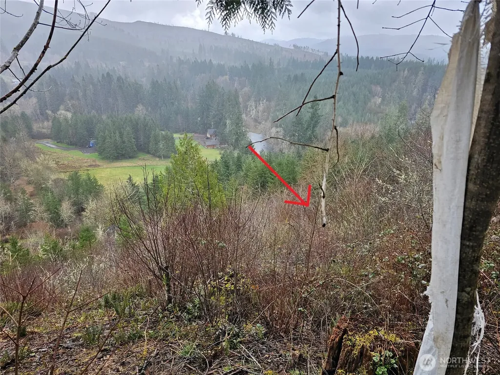 573 Clearwater Road Kelso WA 98626