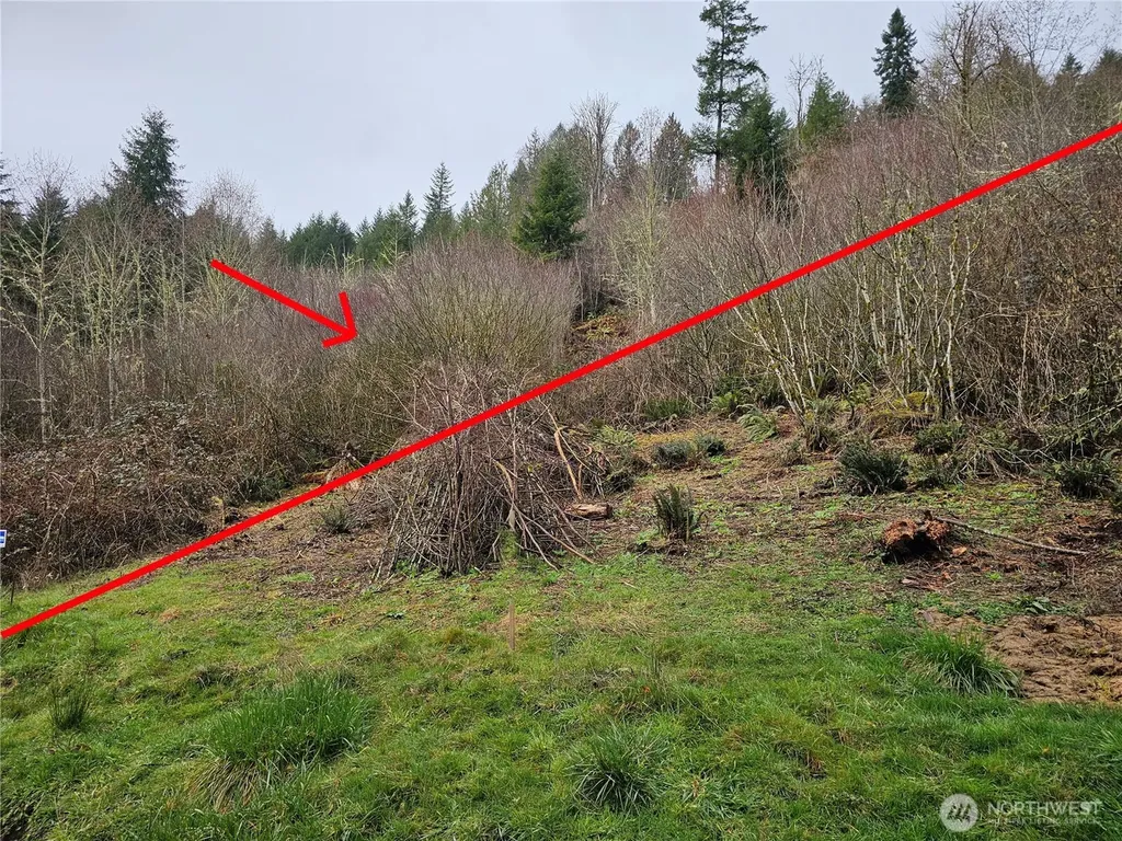 573 Clearwater Road Kelso WA 98626
