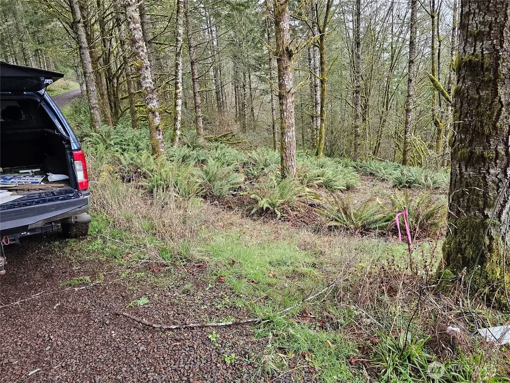 573 Clearwater Road Kelso WA 98626