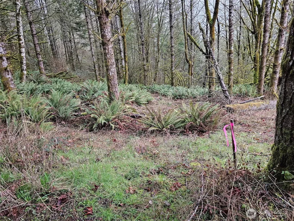 573 Clearwater Road Kelso WA 98626
