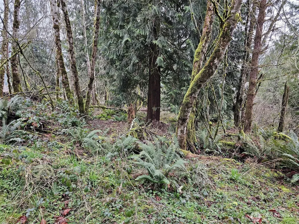 573 Clearwater Road Kelso WA 98626