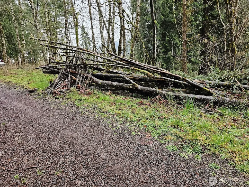 573 Clearwater Road Kelso WA 98626