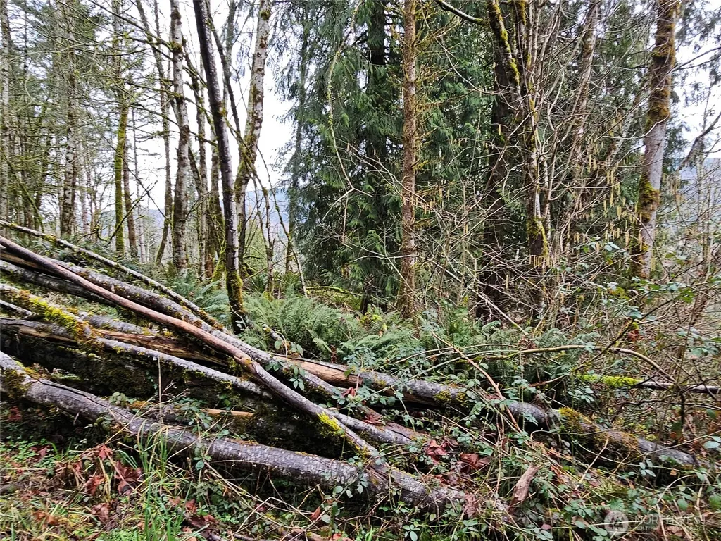 573 Clearwater Road Kelso WA 98626