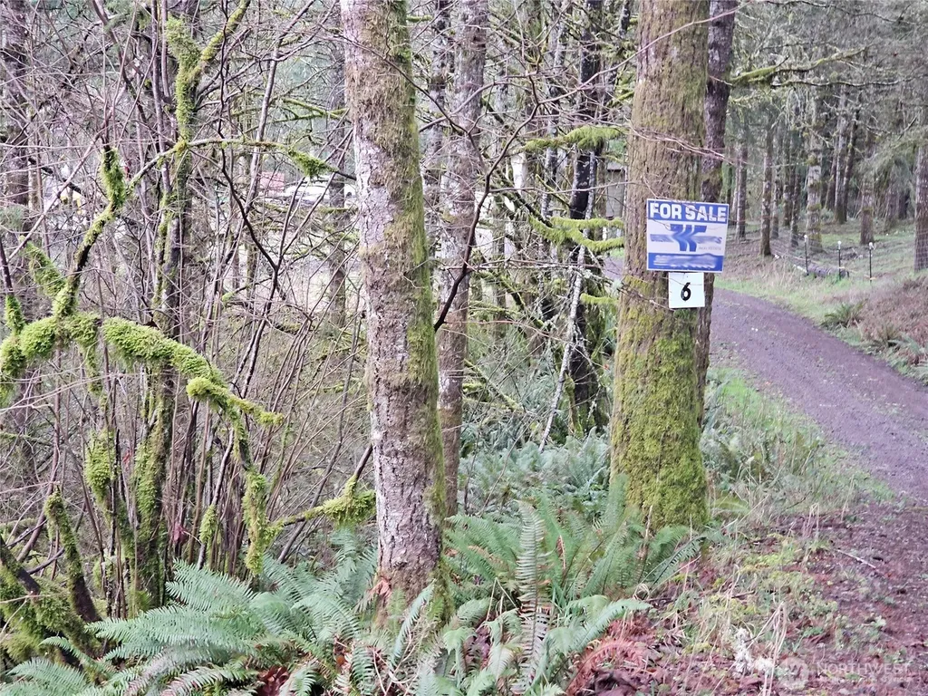 573 Clearwater Road Kelso WA 98626