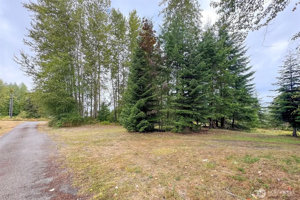 3951 S Tyler Road Port Angeles WA 98363