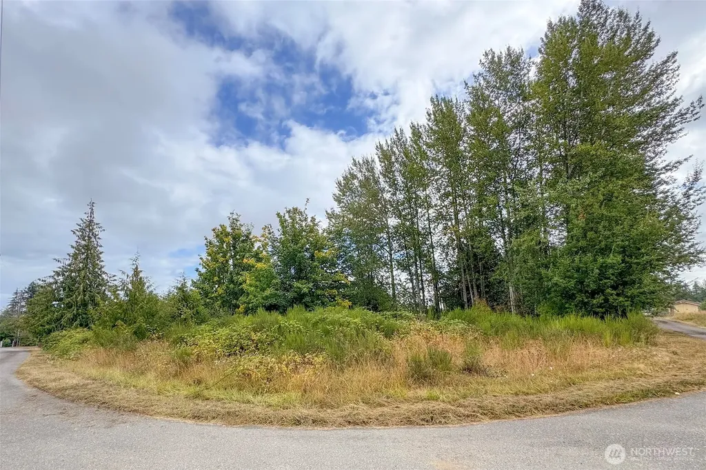 3951 S Tyler Road Port Angeles WA 98363