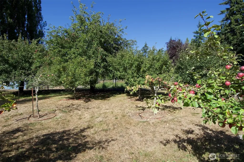 477 Wasankari Road Port Angeles WA 98363