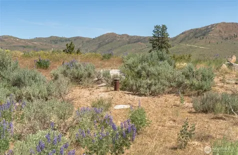 0 Lot 3 Highland Vista Methow WA 98834