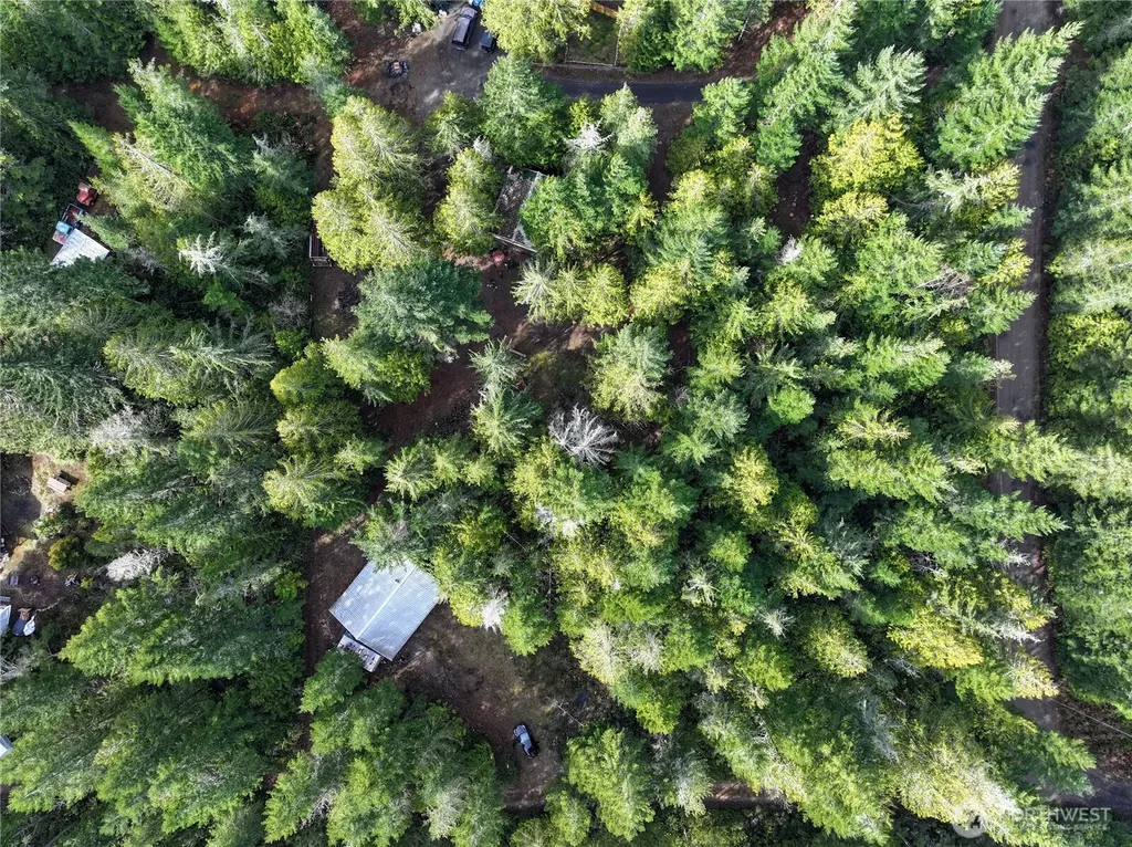 260 NE Kissin Tree Lane Tahuya WA 98588