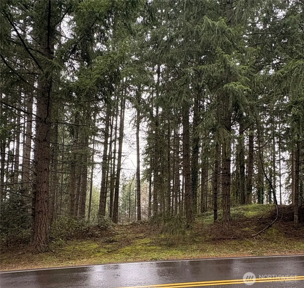22020 Clearlake Boulevard SE Yelm WA 98597