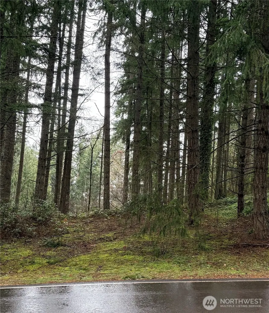 22020 Clearlake Boulevard SE Yelm WA 98597