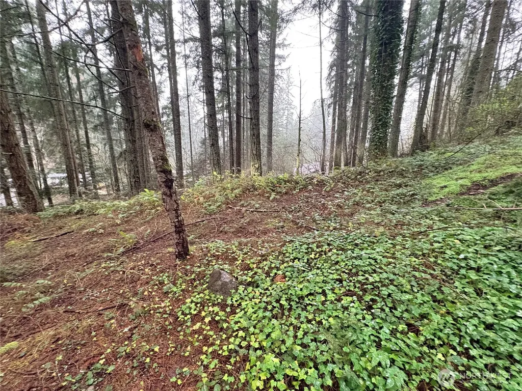 22020 Clearlake Boulevard SE Yelm WA 98597