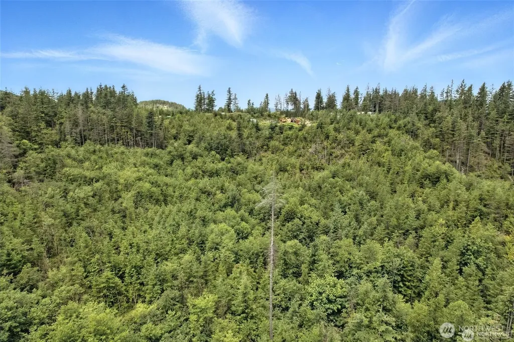 35022 SE 332nd Street Ravensdale WA 98051