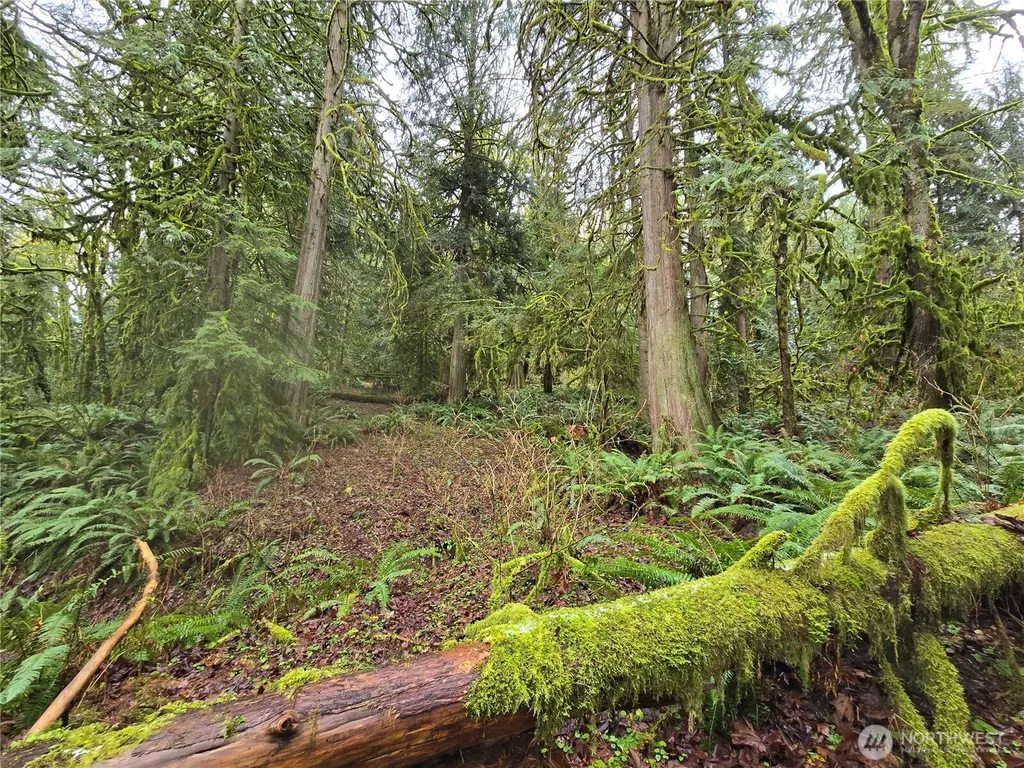 185 123rd (Northern Lot) Avenue NE Arlington WA 98223
