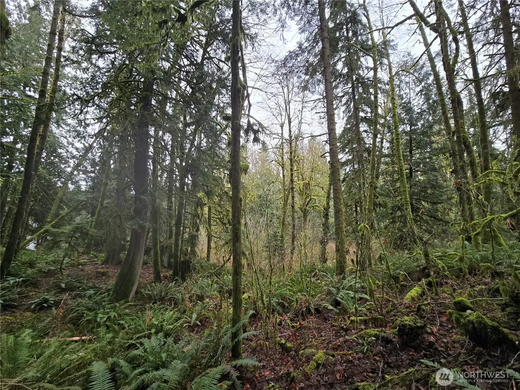 185 123rd (Northern Lot) Avenue NE Arlington WA 98223