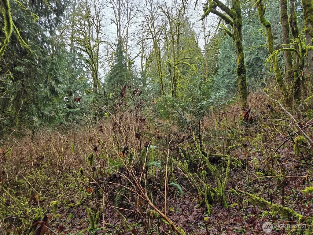 183 123rd (Southern Lot) Avenue NE Arlington WA 98223