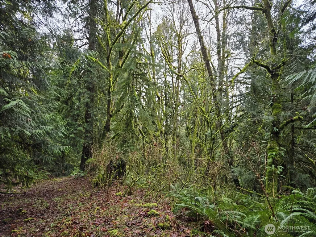 183 123rd (Southern Lot) Avenue NE Arlington WA 98223