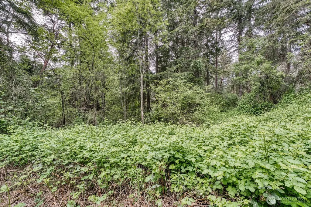 3214 77th Avenue NW Gig Harbor WA 98335