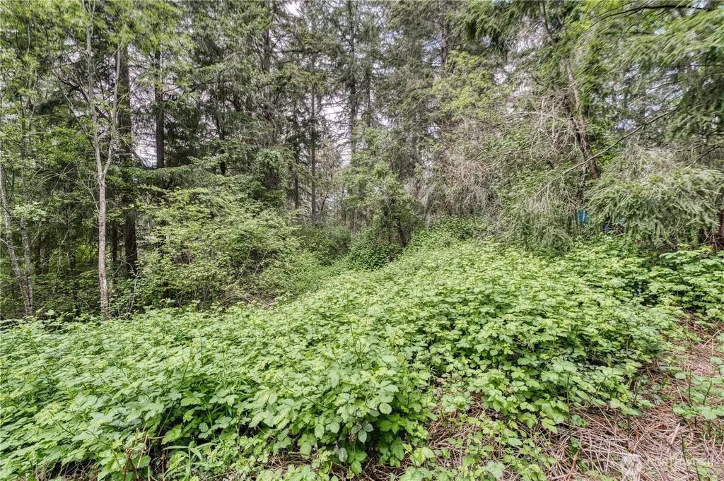 3214 77th Avenue NW Gig Harbor WA 98335