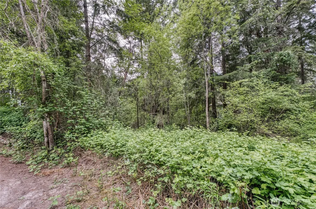 3214 77th Avenue NW Gig Harbor WA 98335