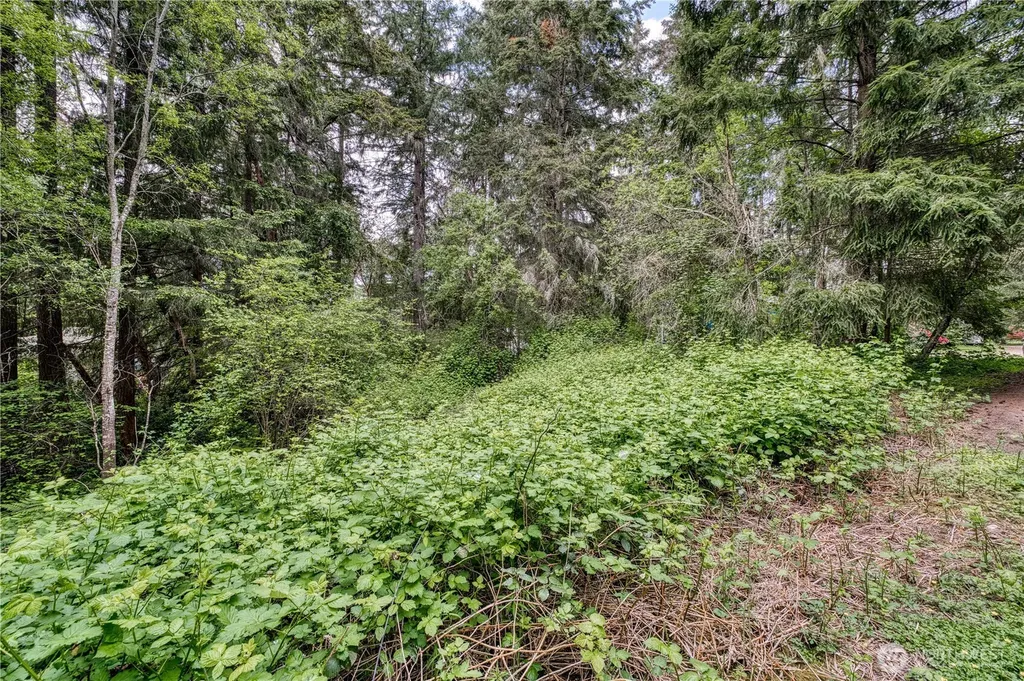 3214 77th Avenue NW Gig Harbor WA 98335