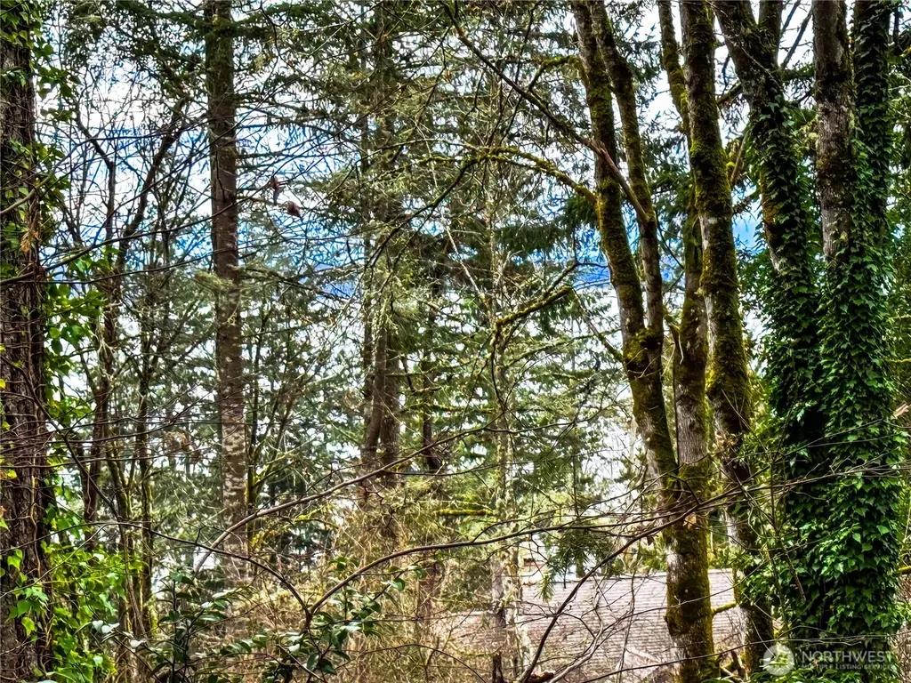 468 3rd Court Fox Island WA 98333