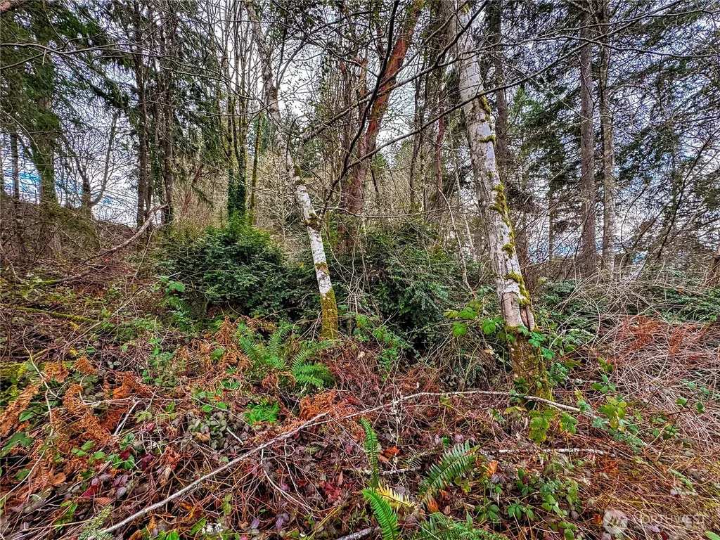 468 3rd Court Fox Island WA 98333