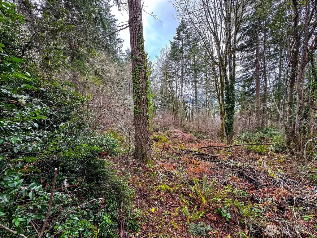 468 3rd Court Fox Island WA 98333