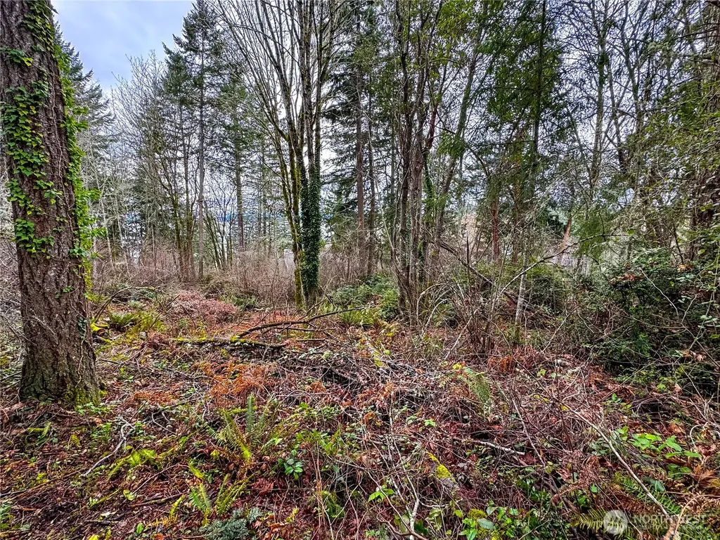 468 3rd Court Fox Island WA 98333