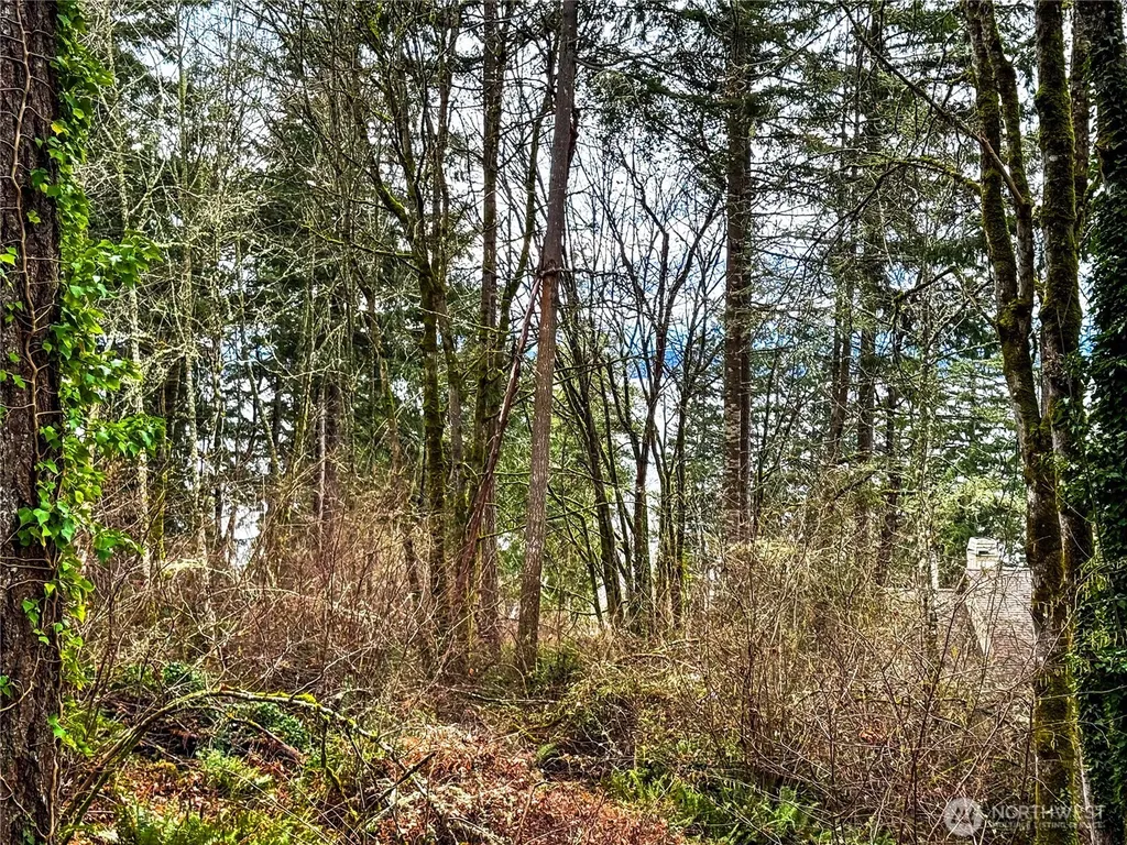 468 3rd Court Fox Island WA 98333