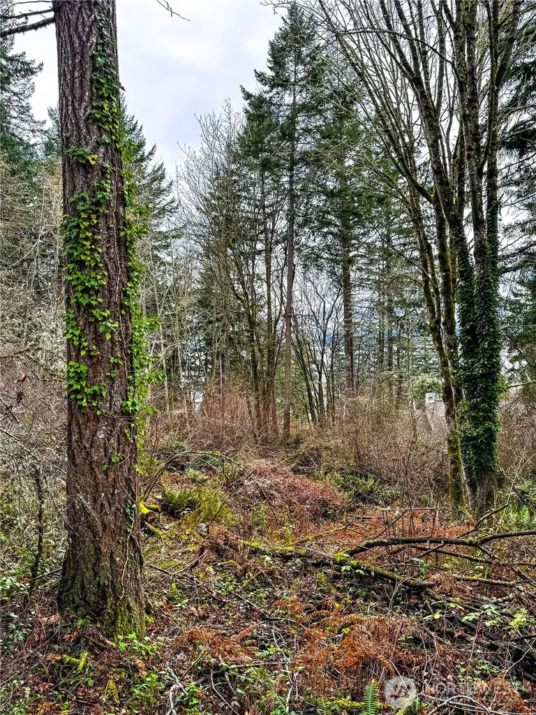 468 3rd Court Fox Island WA 98333