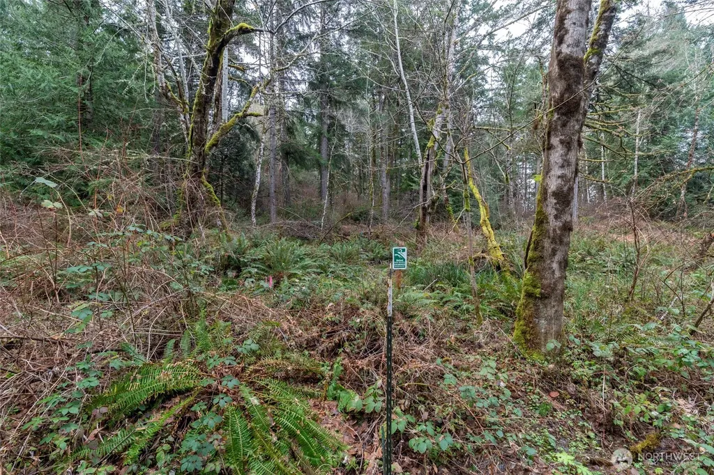 8900 Adams Lane NW Olympia WA 98502