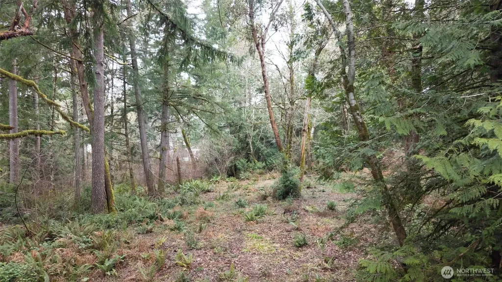 8900 Adams Lane NW Olympia WA 98502