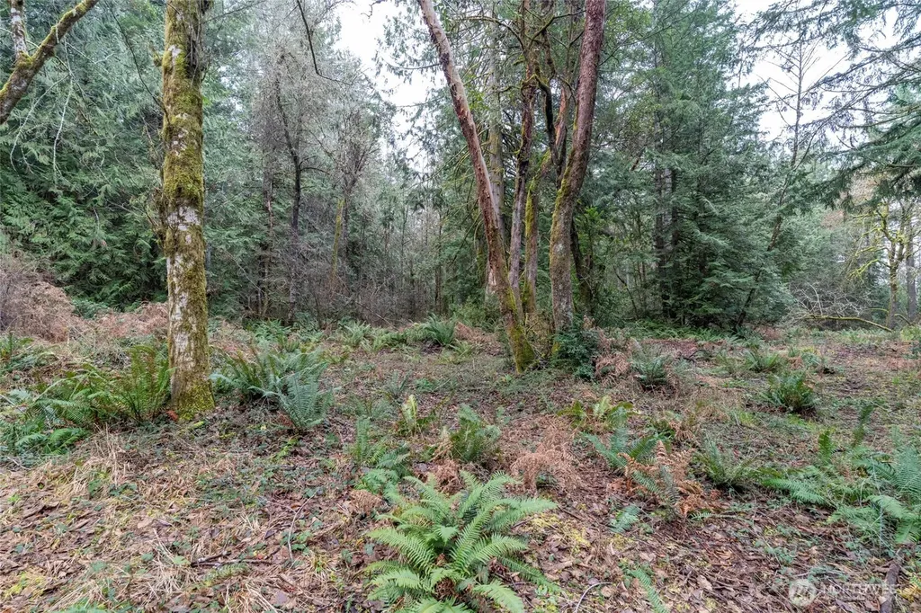 8900 Adams Lane NW Olympia WA 98502
