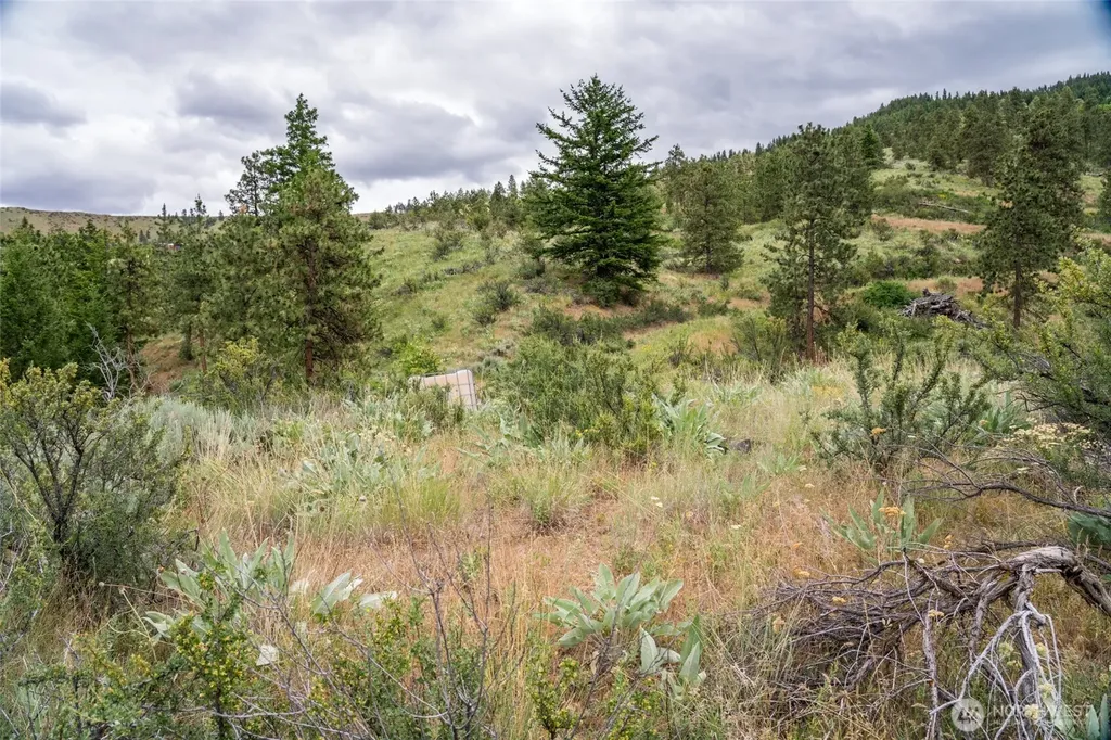 35 Watchman Lane Wenatchee WA 98801