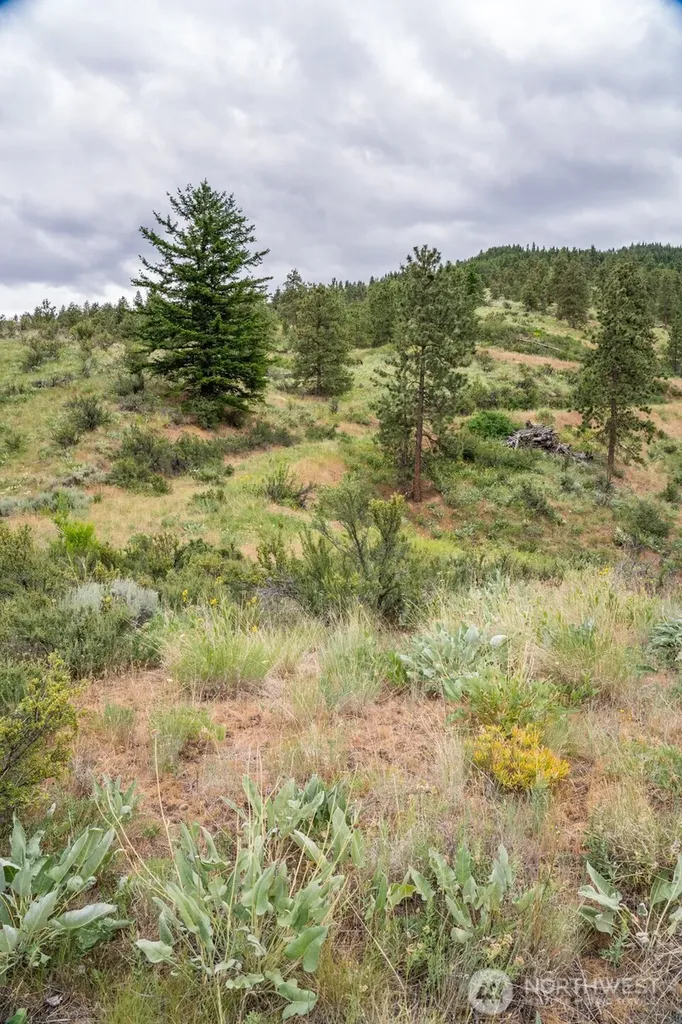 35 Watchman Lane Wenatchee WA 98801