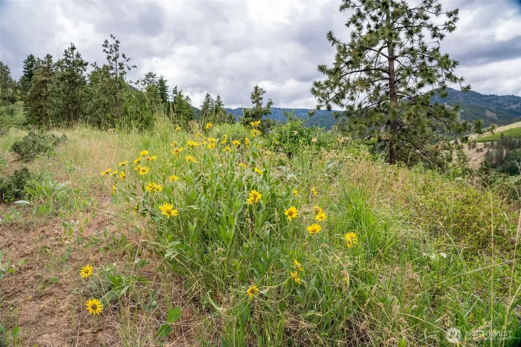 35 Watchman Lane Wenatchee WA 98801