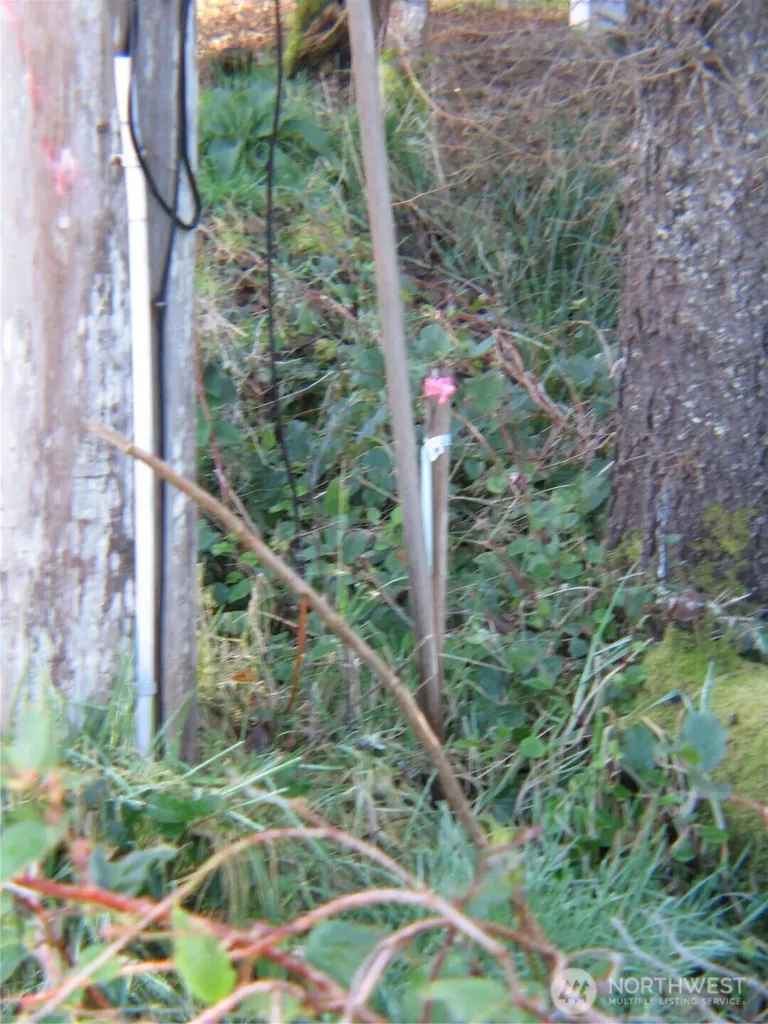 1704 320th Place Ocean Park WA 98640