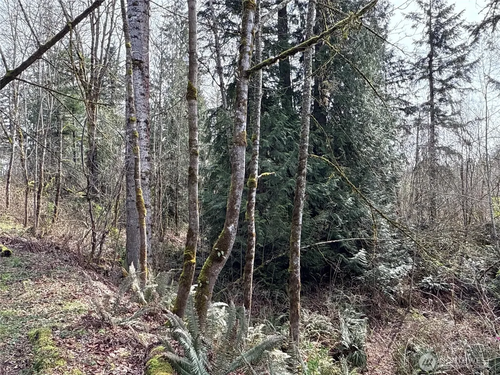 22 212th Avenue SE Maple Valley WA 98038